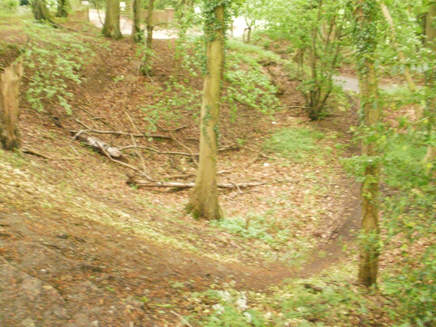 An image depicting the trail Chesham to Wendover Woods Loop and its surrounding area.