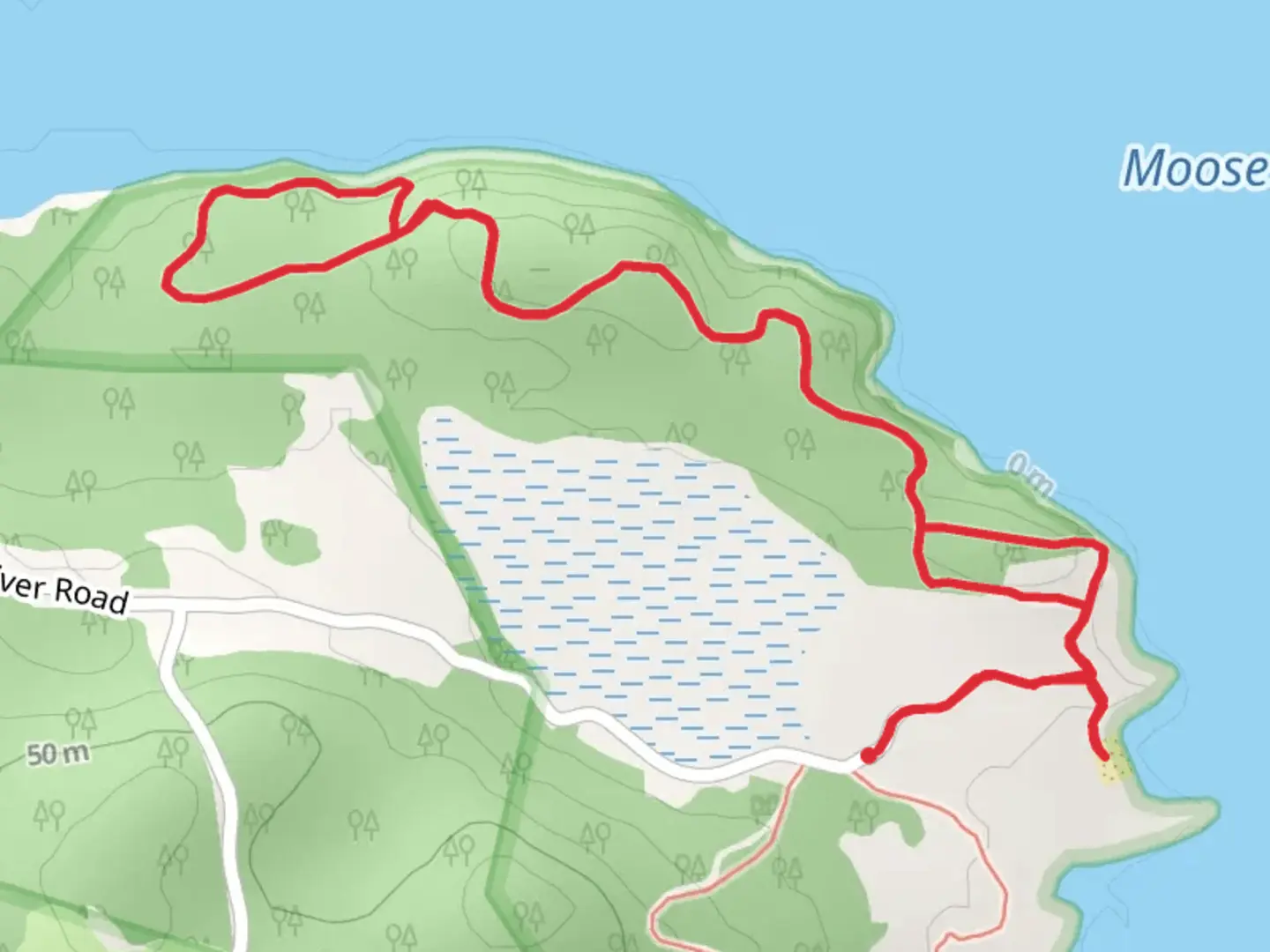 An image depicting the trail Moose River - Ridge Trail and its surrounding area.