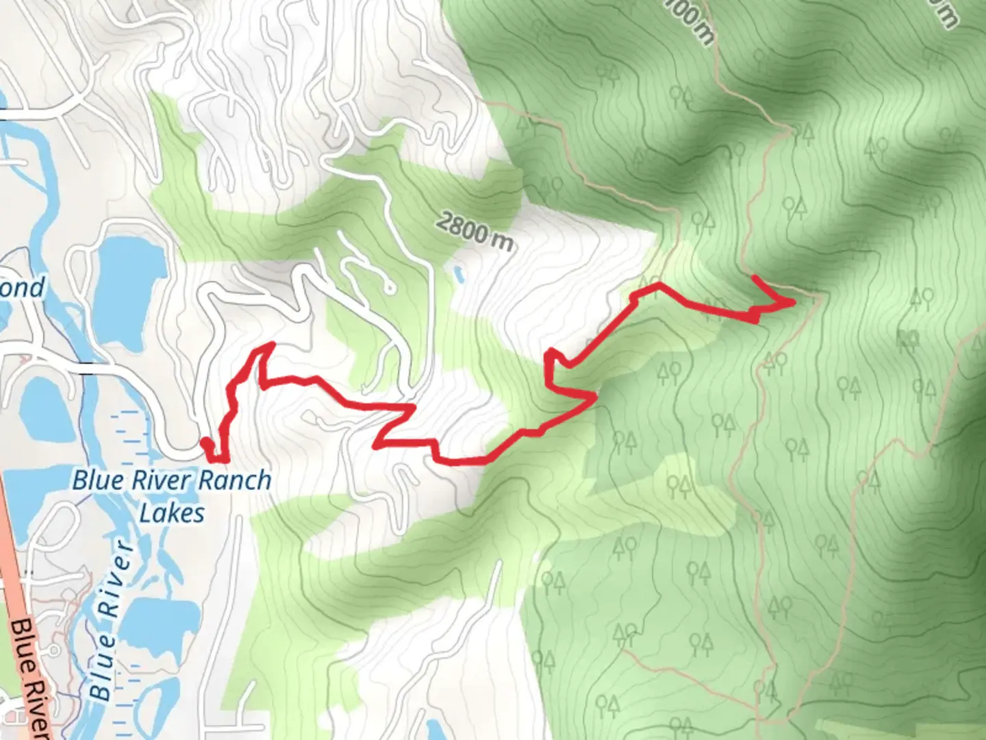 An image depicting the trail Angler Mountain Trail and its surrounding area.