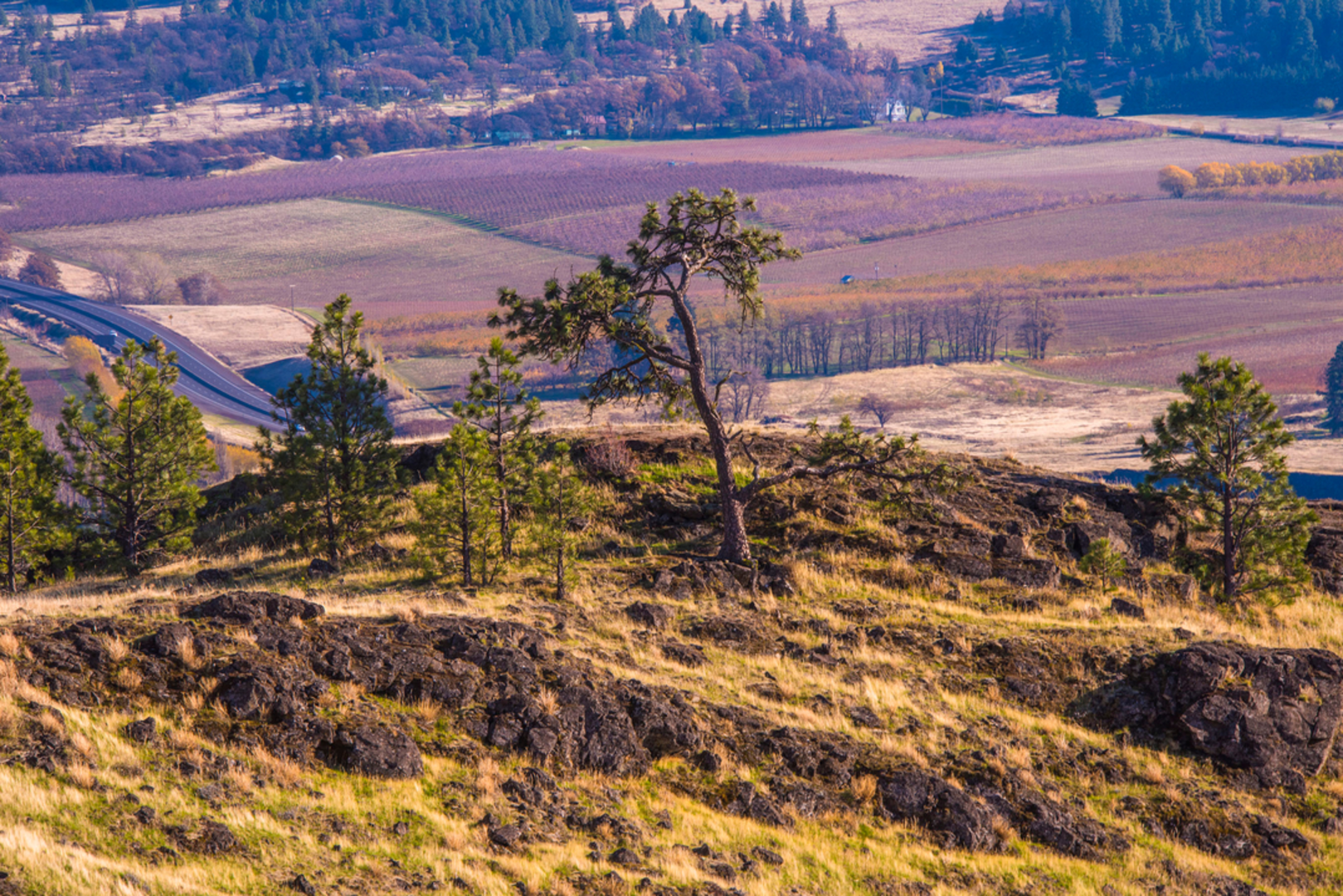 An image depicting the trail Coyote Wall Trail and its surrounding area.