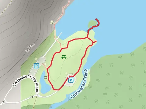 Birth of a Lake Loop Trail