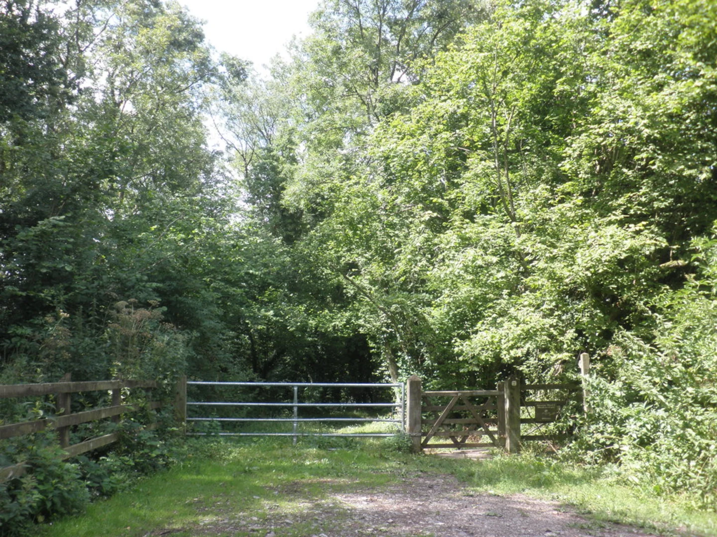 An image depicting the trail Herepath Trail - Blagdon Hill Loop and its surrounding area.