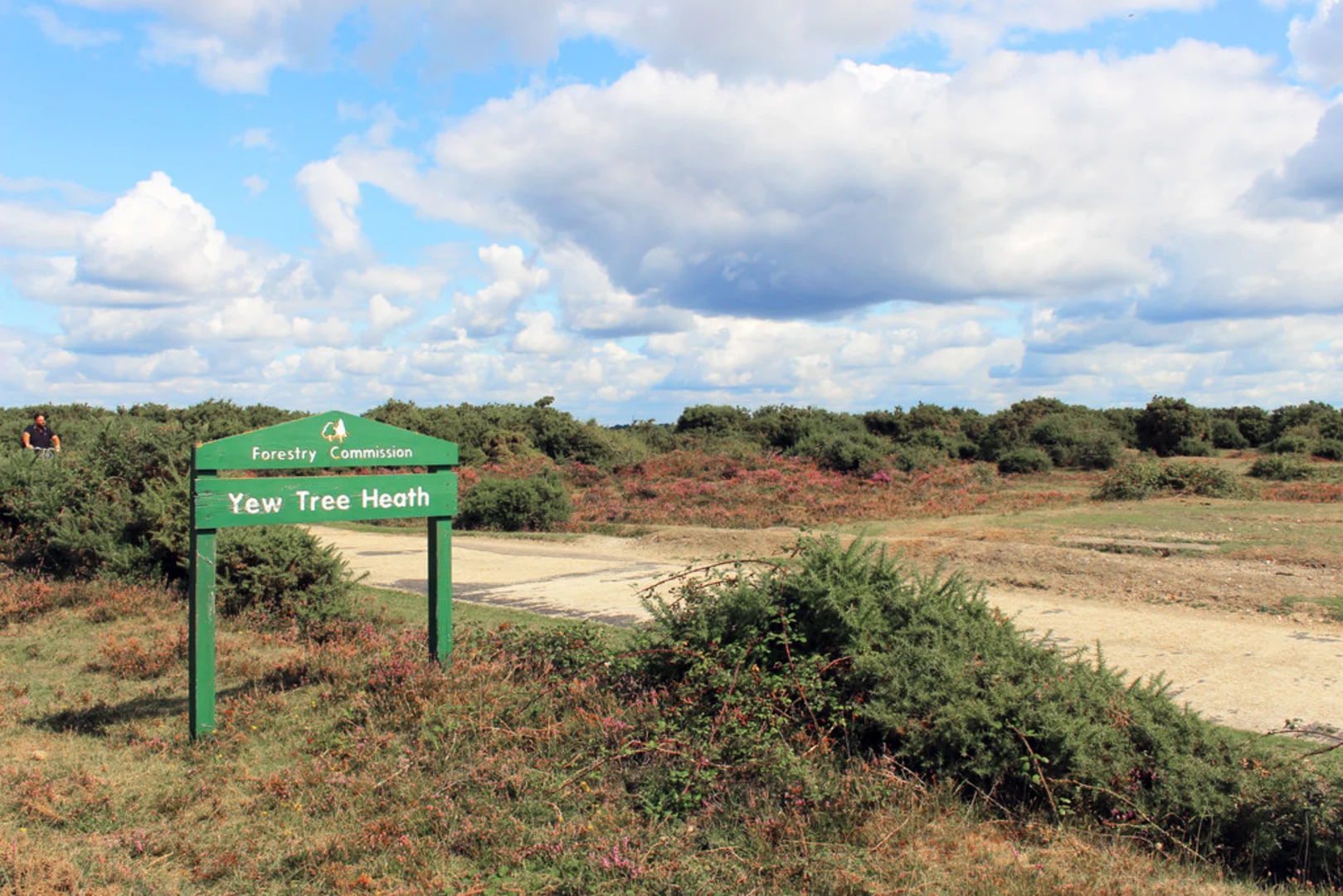 An image depicting the trail Black Down and Yew Tree Heath Loop and its surrounding area.