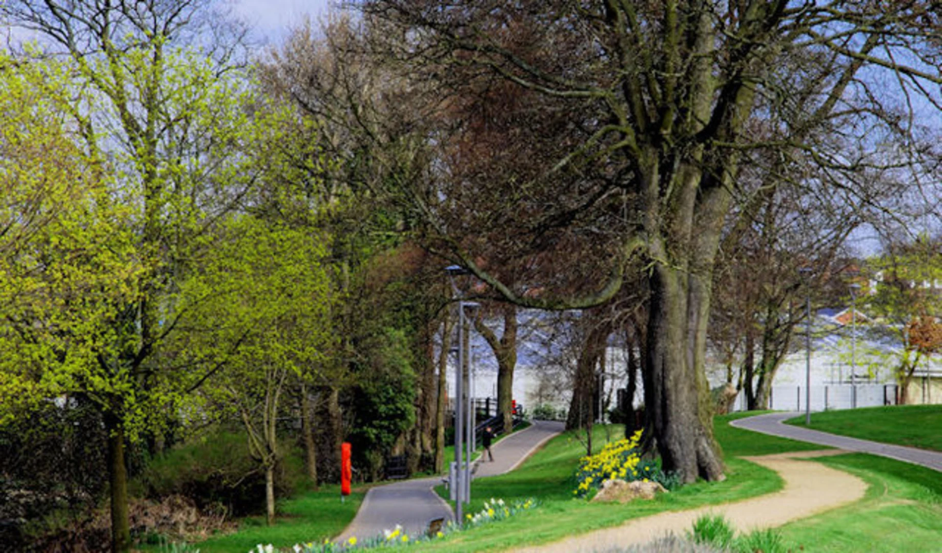 An image depicting the trail Banbridge Riverside Walk and Solitude Park and its surrounding area.