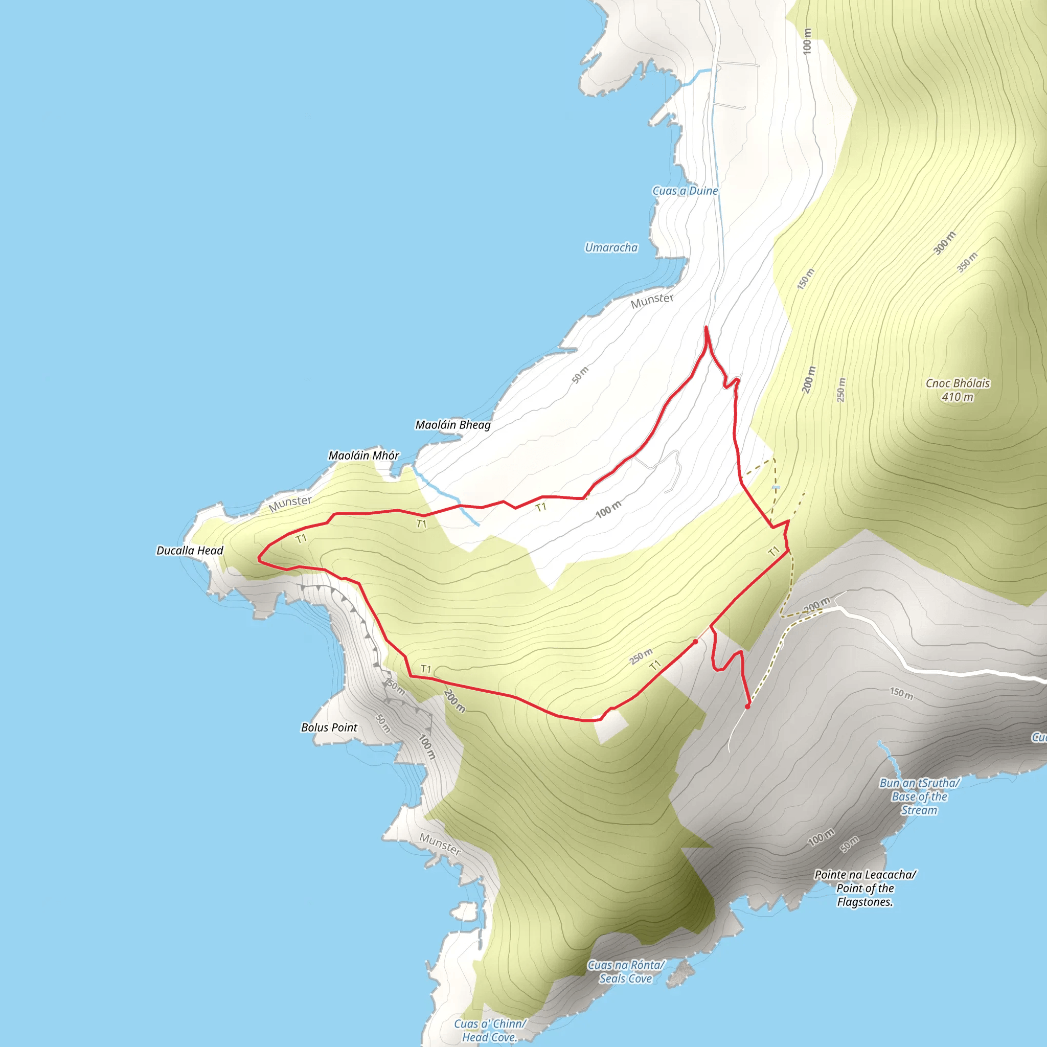 Bolus Loop mobile static map