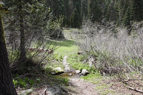 An image depicting the trail Soldier Ridge Trail and its surrounding area.