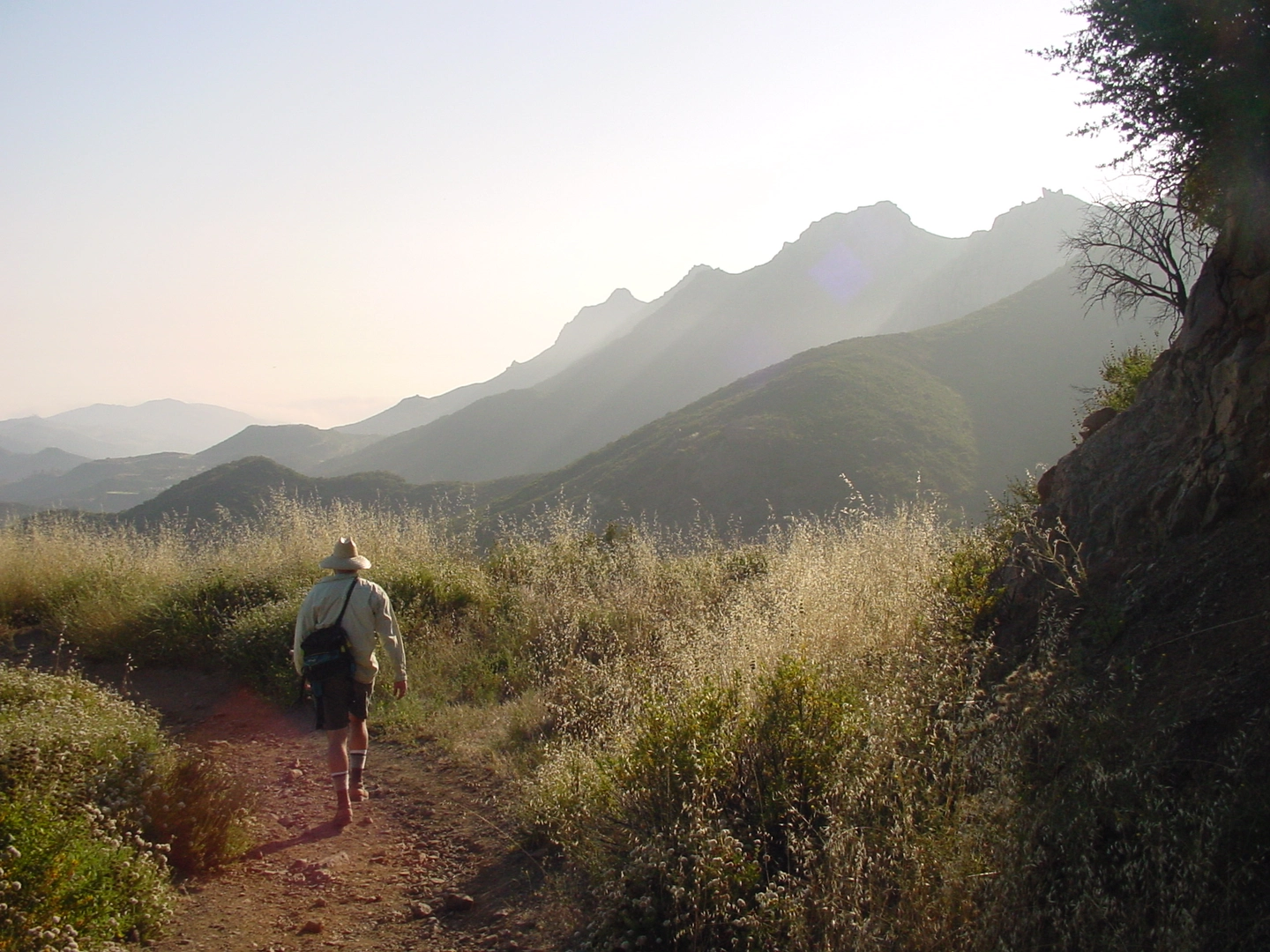 An image depicting the trail Backbone Trail from Kanan Dume Road and its surrounding area.
