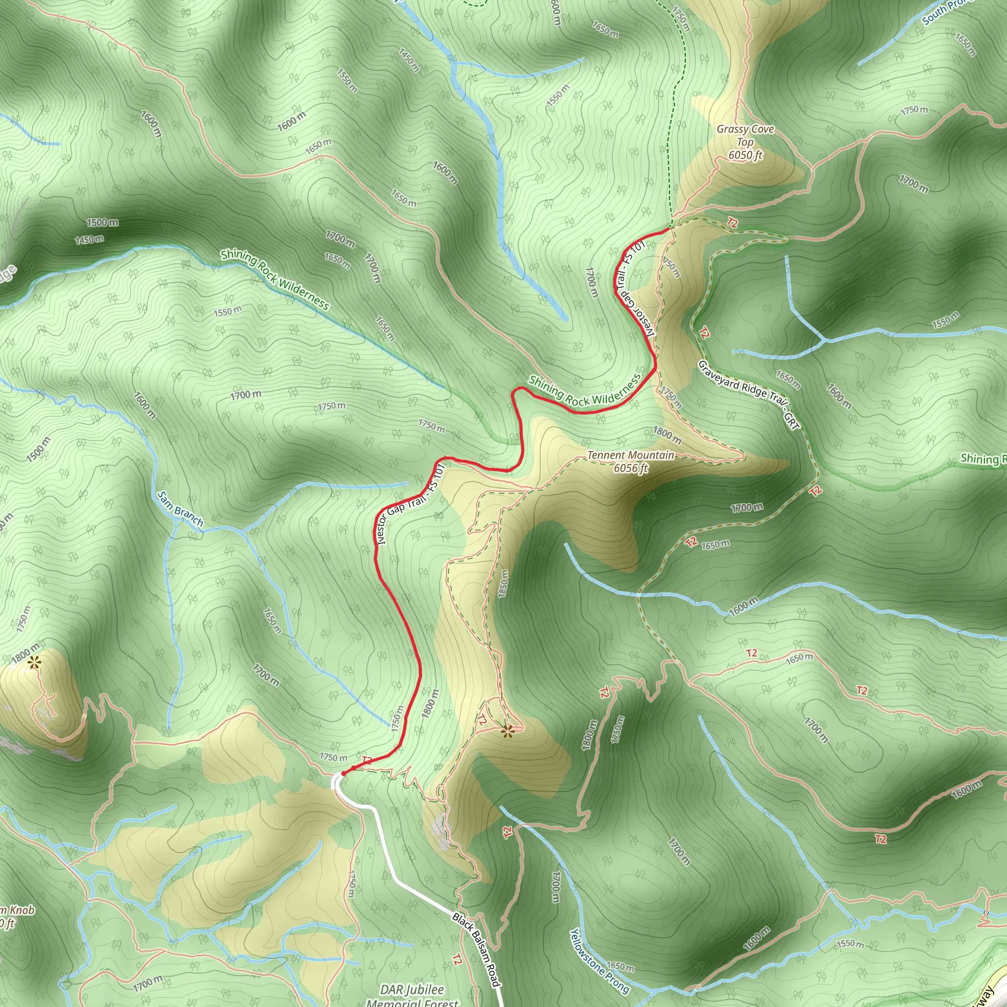Grassy Cove Gap via Ivestor Gap Trail mobile static map