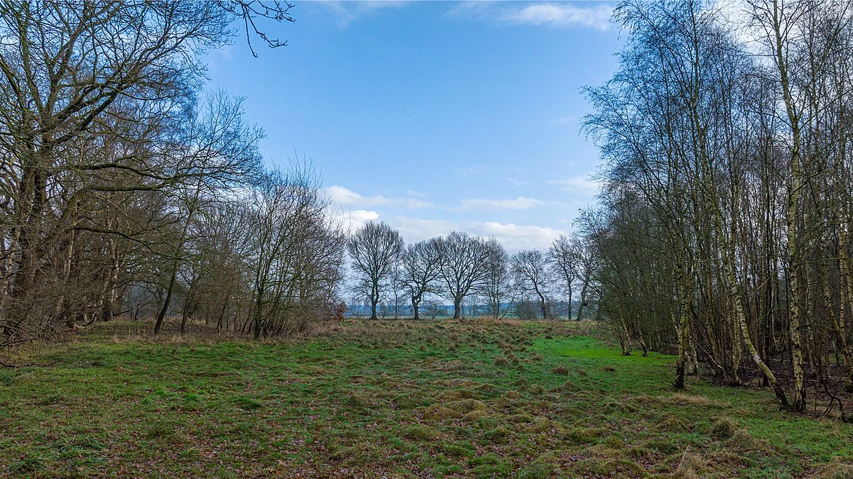 Alter Friedhof and Gehegeberg Loop
