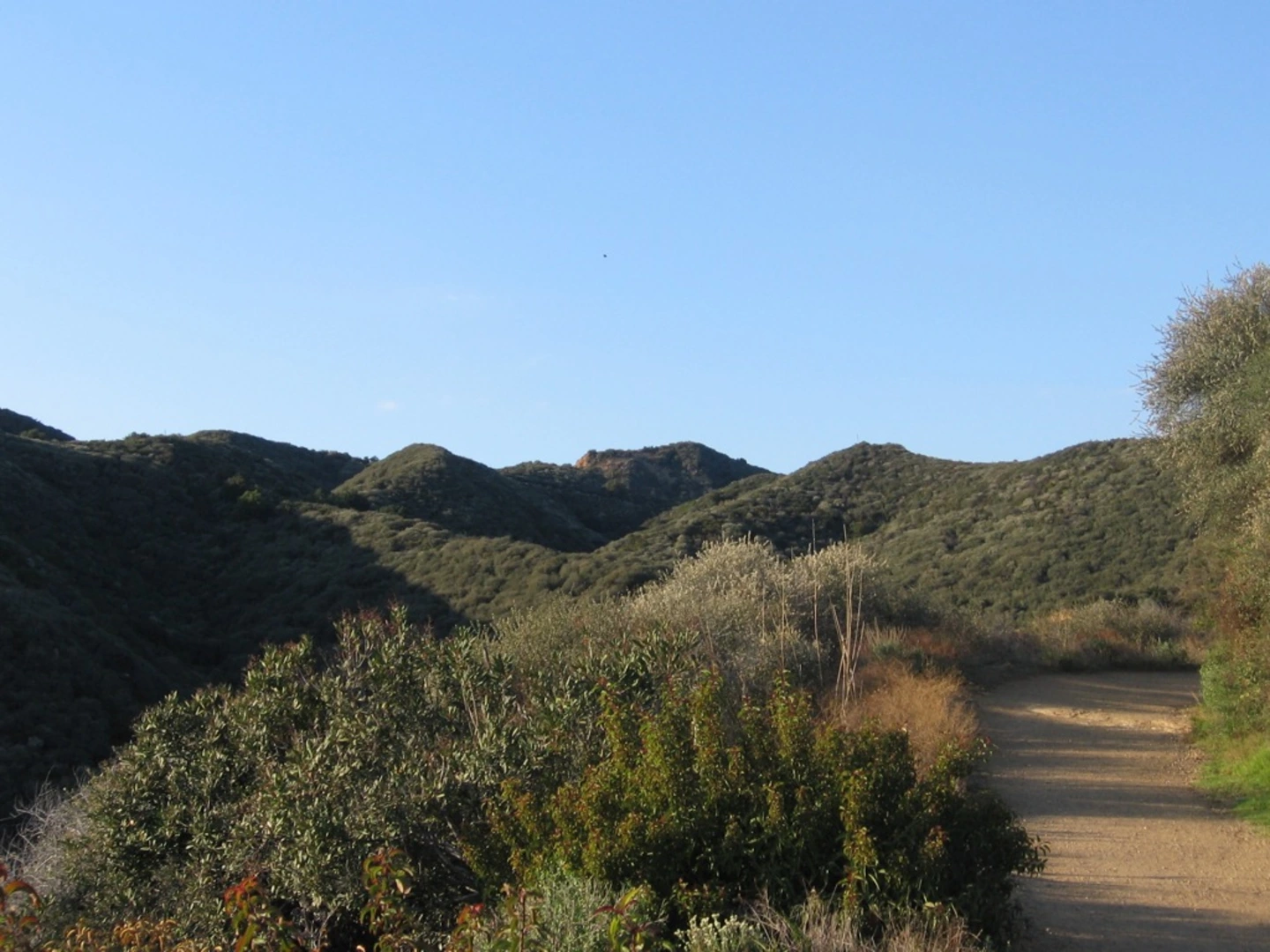 An image depicting the trail Bypass, Inspiration and Rodeo Ridge Loop Trail and its surrounding area.
