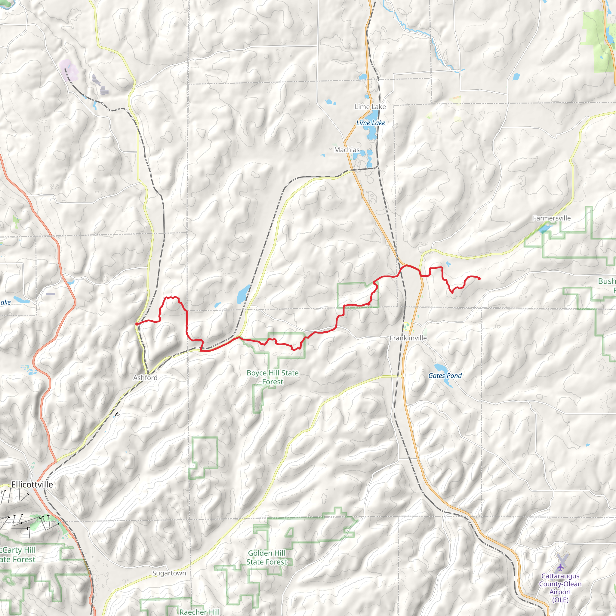 Finger Lakes - North Country Trail from Kingsbury Hill Road mobile static map