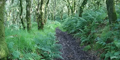 An image depicting the trail Pontfaen - Tregynon and its surrounding area.
