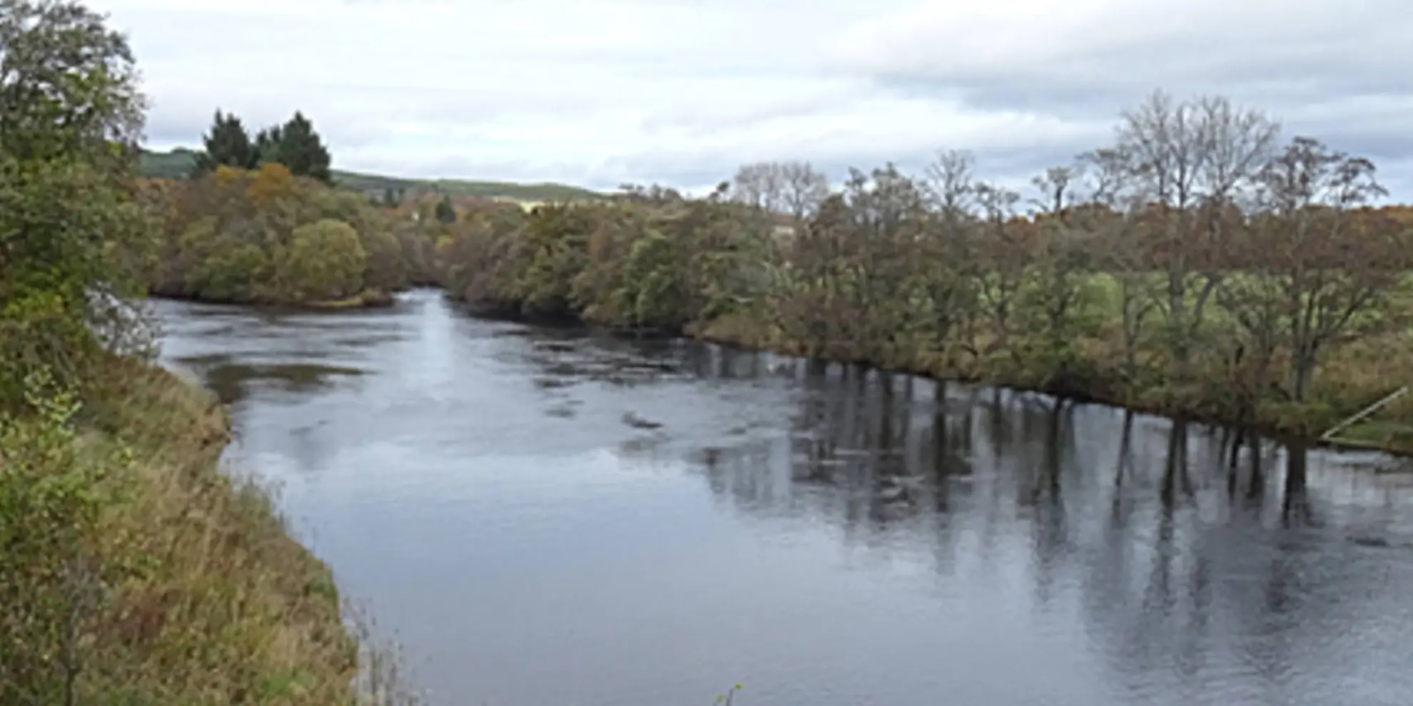 An image depicting the trail Red Squirrel Trail and its surrounding area.