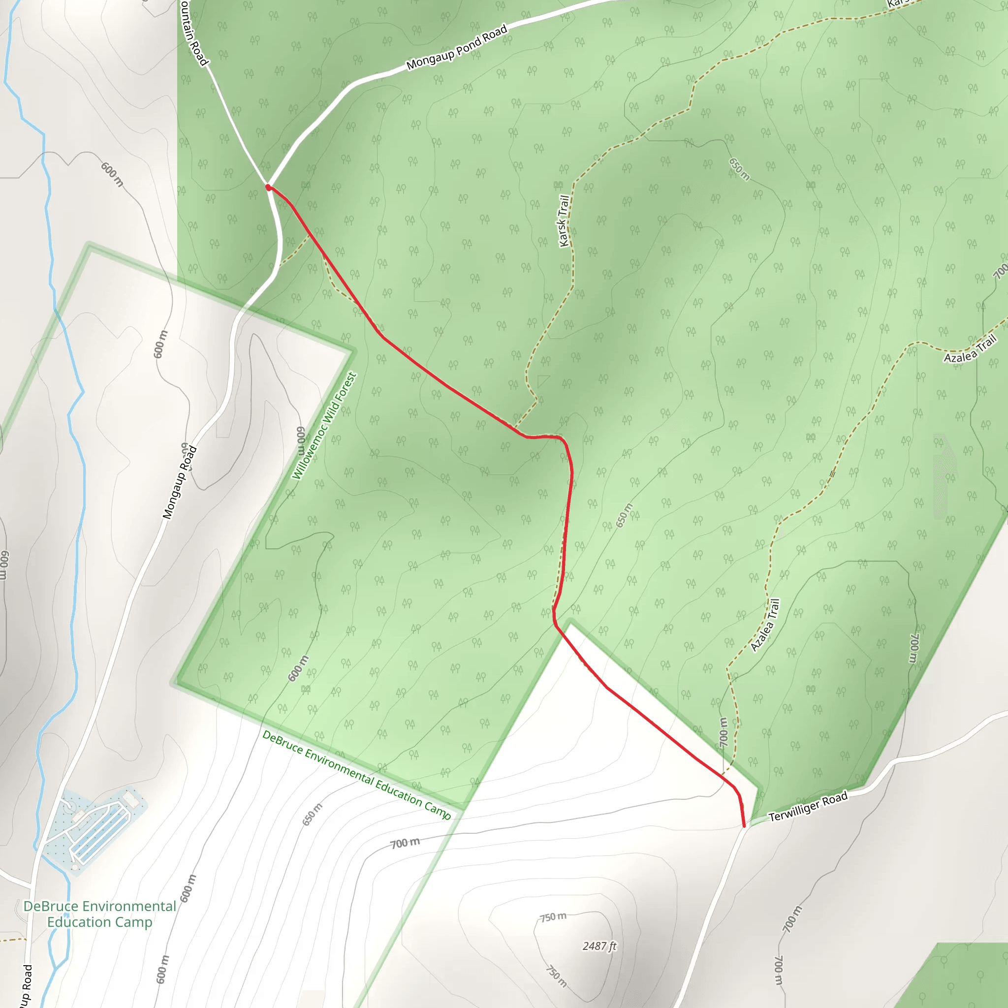 Mongaup Creek via Terwilliger Road mobile static map