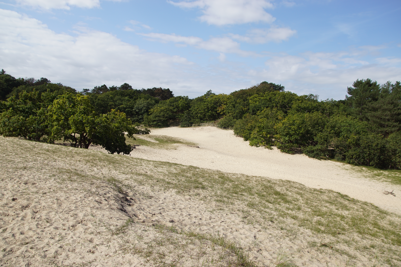 An image depicting the trail Slangelaan and Schaapskooi Bergen Loop and its surrounding area.