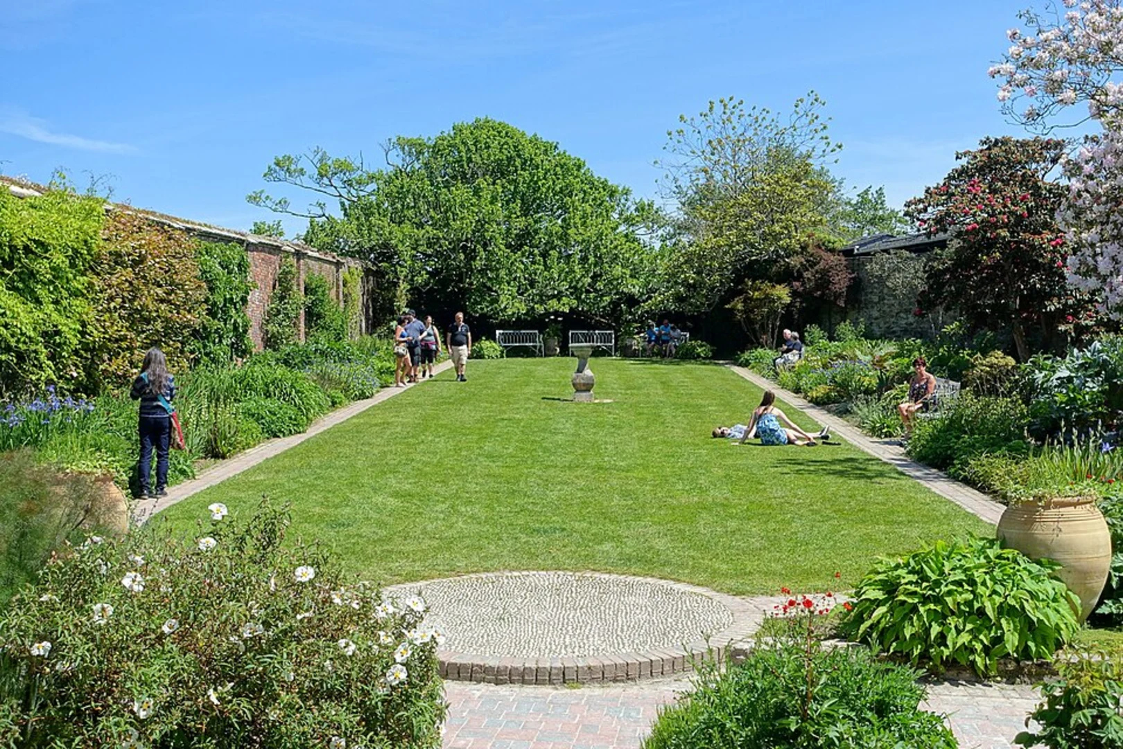 An image depicting the trail Lost Gardens of Heligan Loop and its surrounding area.