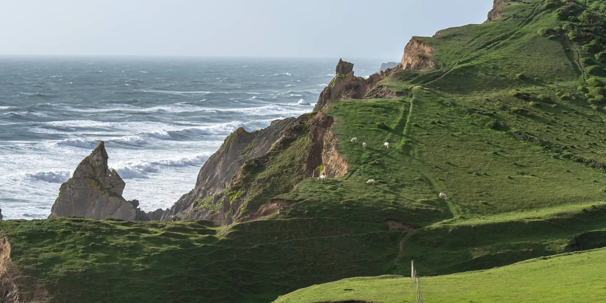 An image depicting the trail Sandymouth to Duckpool Coastal Walk and its surrounding area.