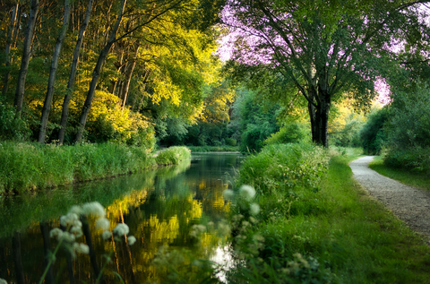 Dam to Bergstoep via Boezems Kinderdijk and Lek
