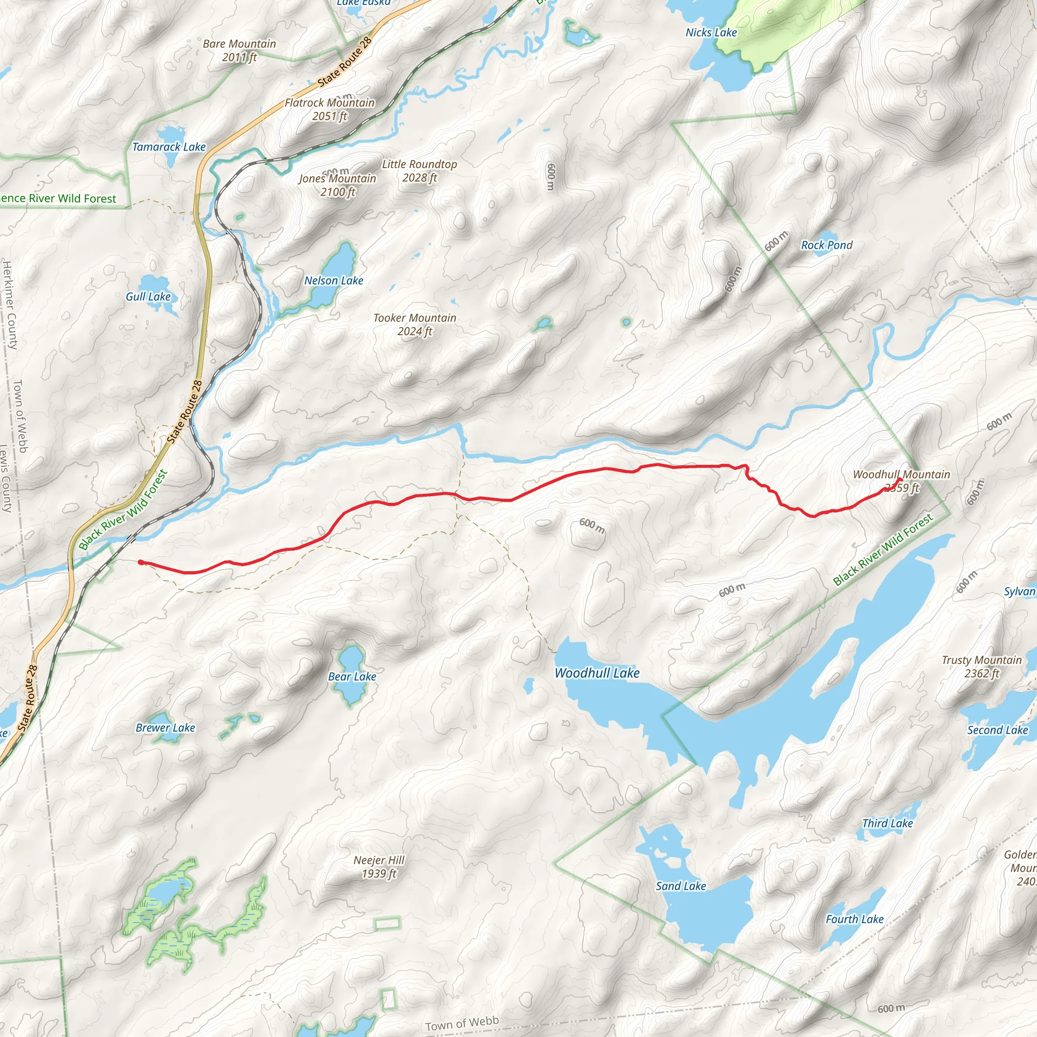 Woodhull Mountain Trail via Black River Wild Forest mobile static map