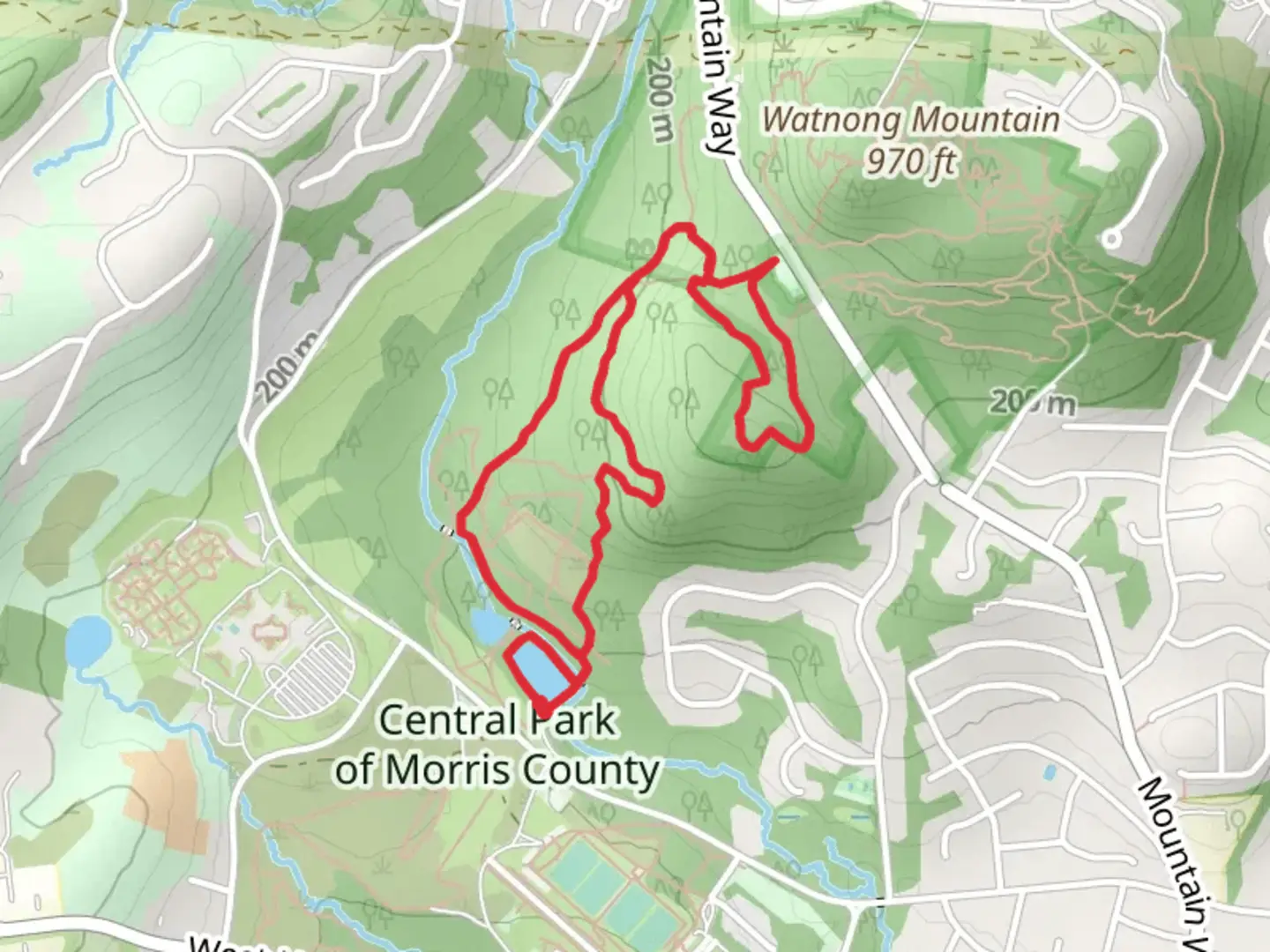 An image depicting the trail White-Yellow Loop Trail and its surrounding area.