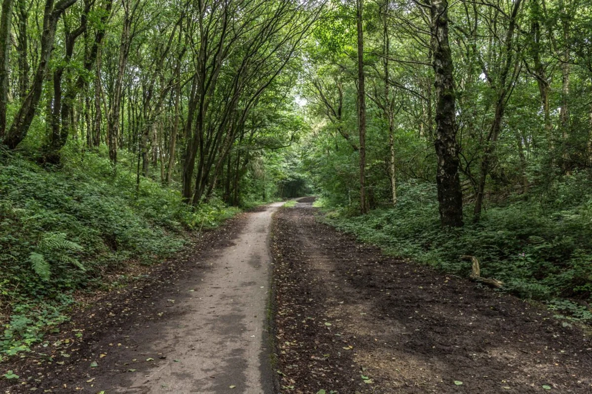 Hurst Wood Loop Walk