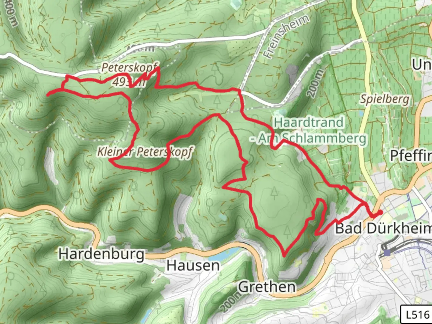 An image depicting the trail Schäferwarte, Hubertus Hilf, Heidenfels and Peterskopf Loop via Pfalzer Weinsteig Etappe 2 and its surrounding area.