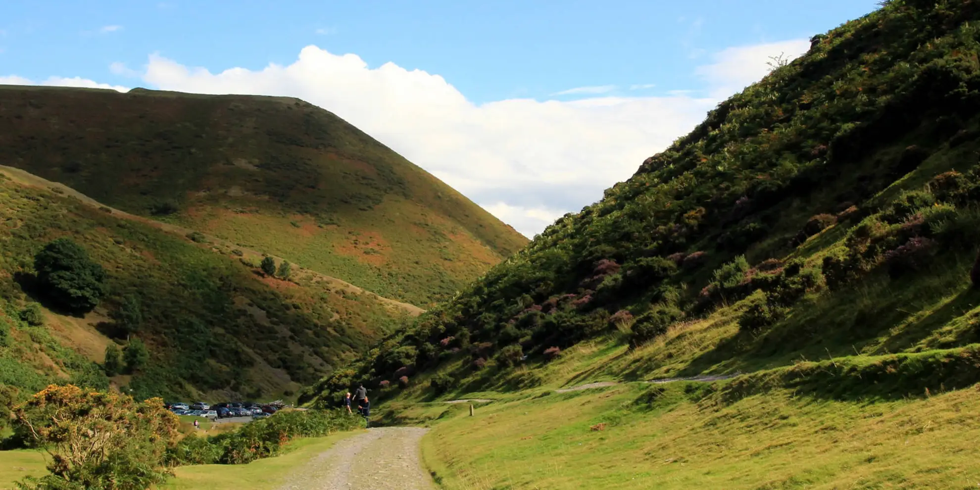 An image depicting the trail Haddon Hill and Bodbury Hill from Carding Mill Valley and its surrounding area.