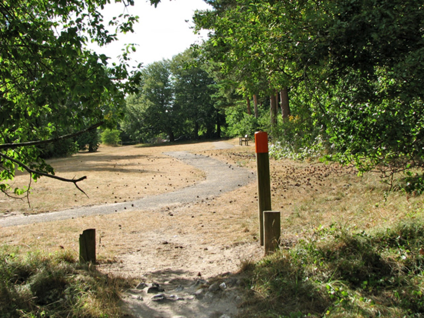 An image depicting the trail Saint Helen's Picnic Site Loop and its surrounding area.