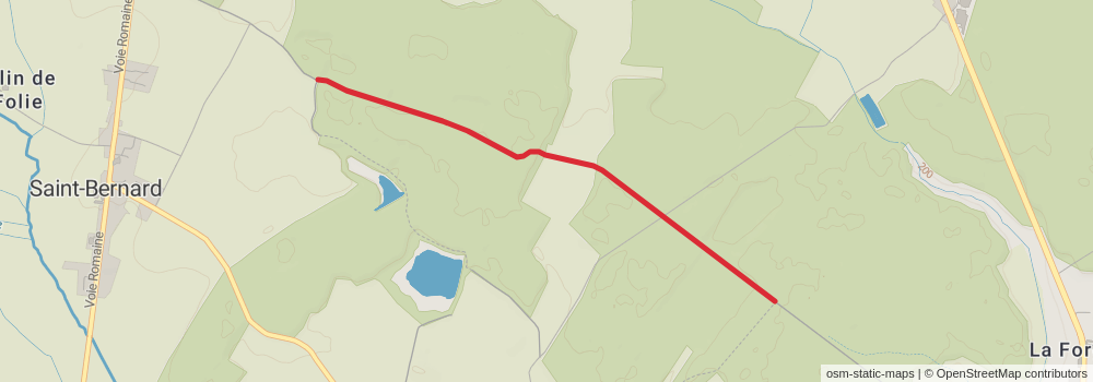 Camino Strasbourg-Saint Jean Pied de Port via Le Puy alt 7 Map