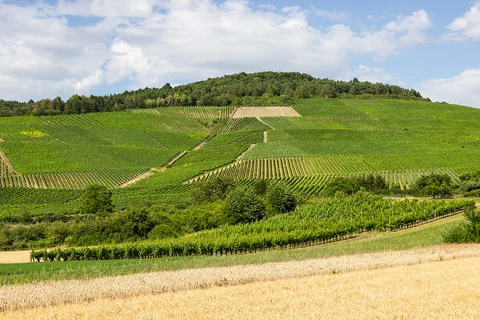 M Weg and Veitshoechheim Thuengersheim