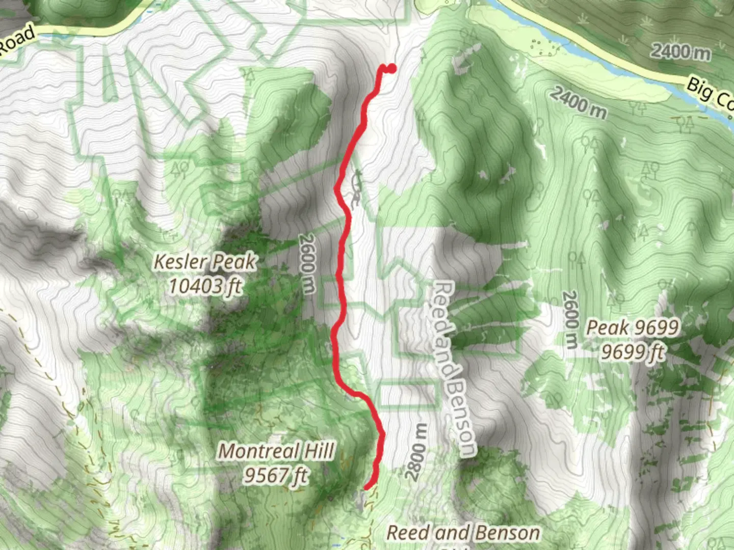An image depicting the trail Cardiff Fork Trail and its surrounding area.