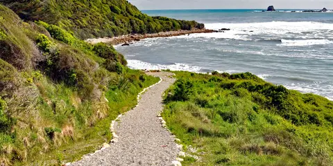 An image depicting the trail Cape Foulwind Walkway and its surrounding area.