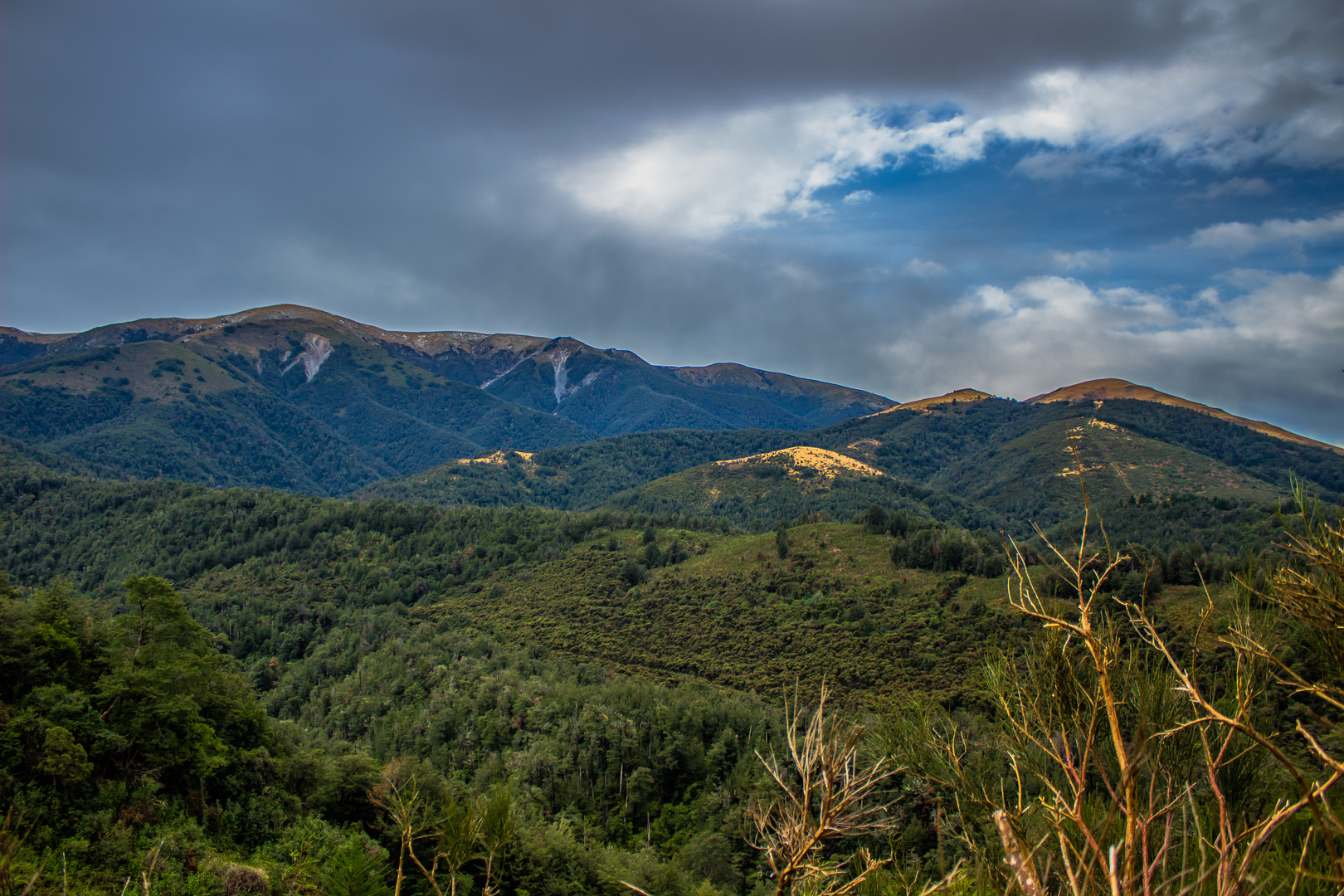 An image depicting the trail Mt Oxford Track - View Hill Car Park to Mt Oxford and its surrounding area.
