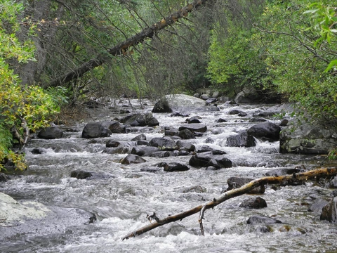 An image depicting the trail Lion Lakes Trail and its surrounding area.