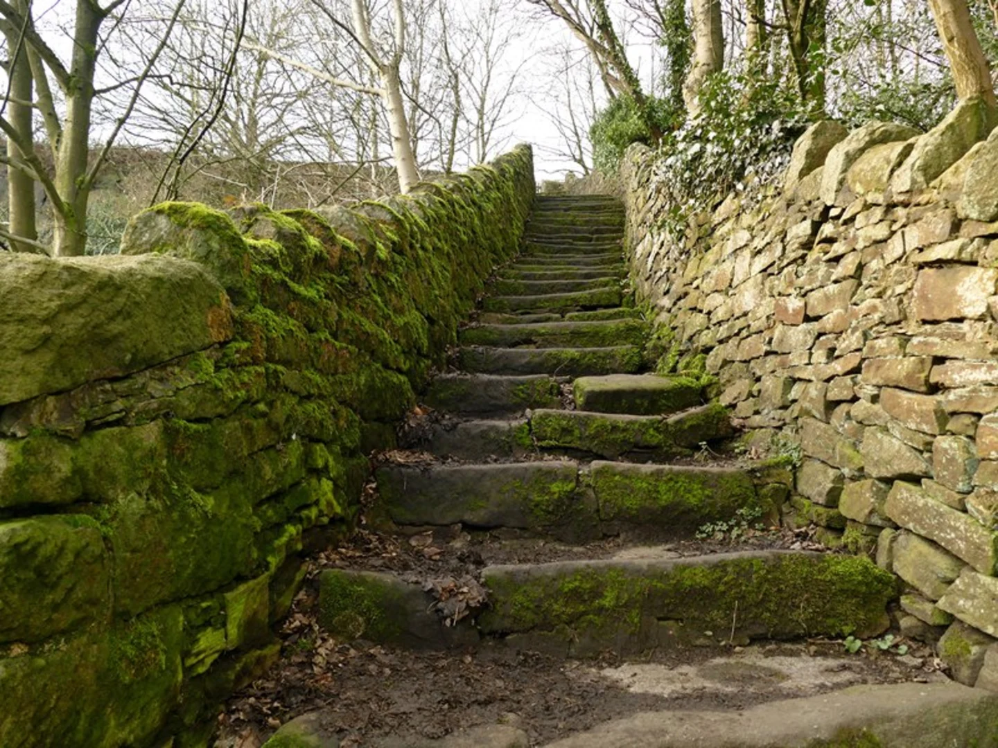 An image depicting the trail Crich, Whatstandwell and Wakebridge Loop and its surrounding area.
