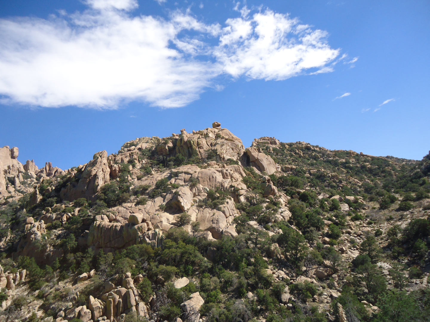 An image depicting the trail Stronghold Nature Trail and its surrounding area.
