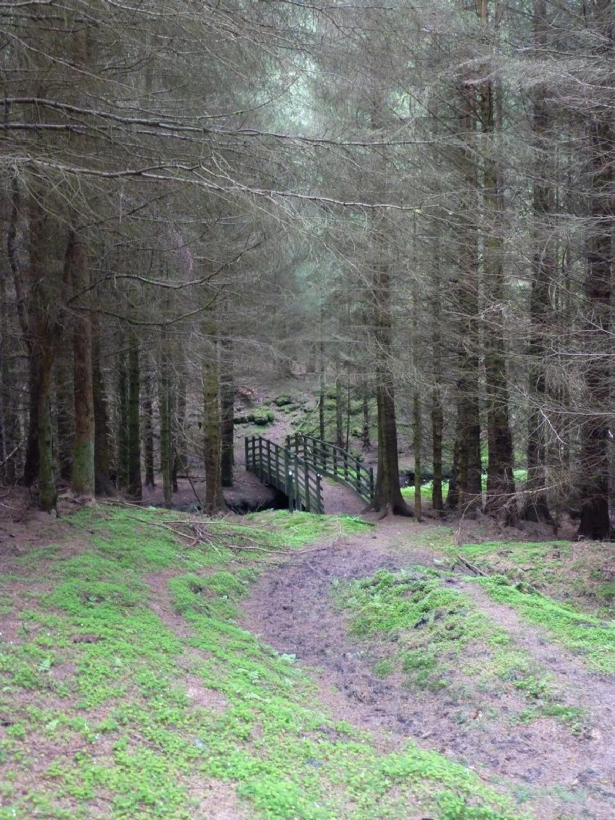 Rothbury to Kirkwhelpington Walk