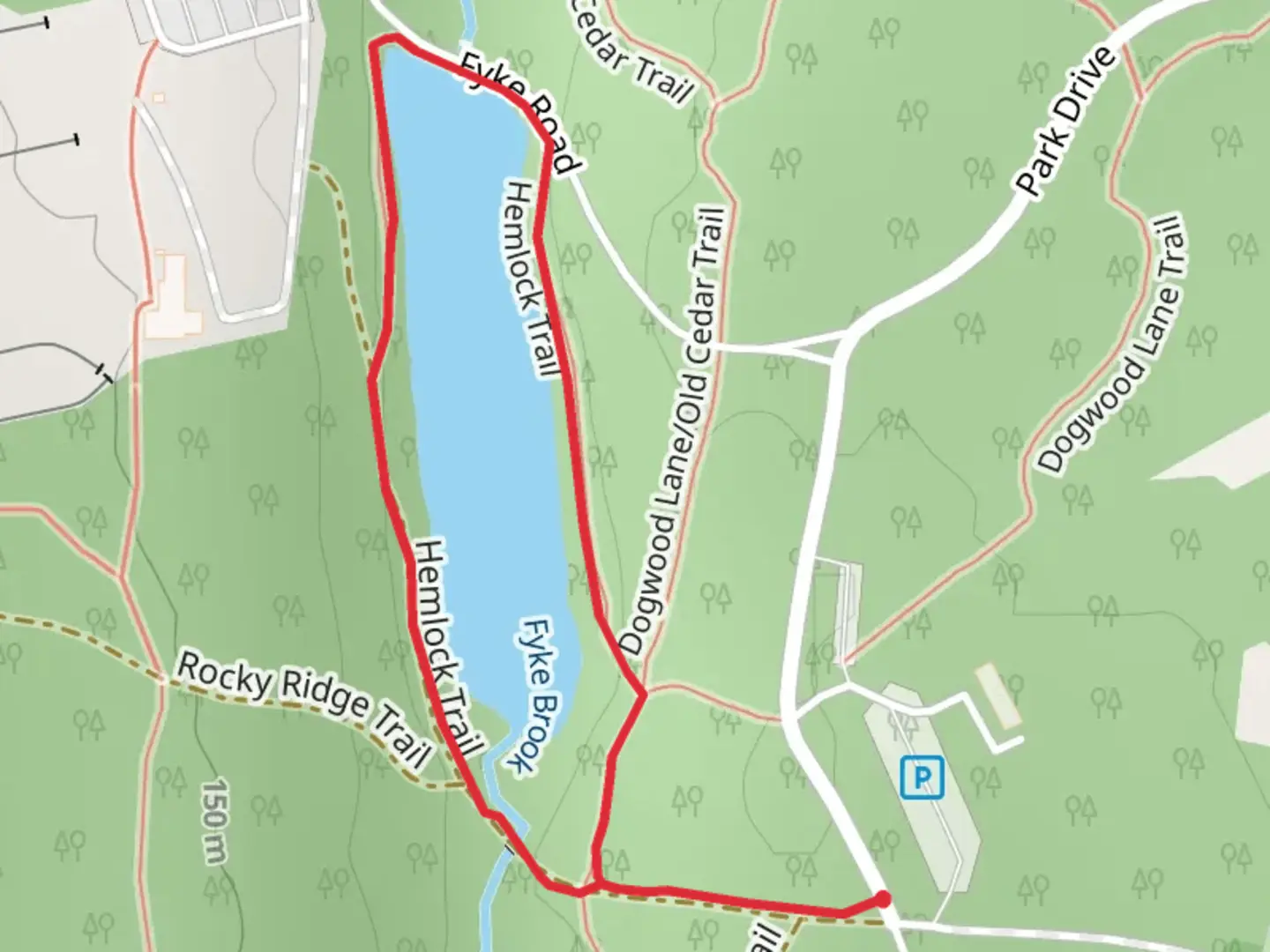 An image depicting the trail Fyke Brook Loop and its surrounding area.