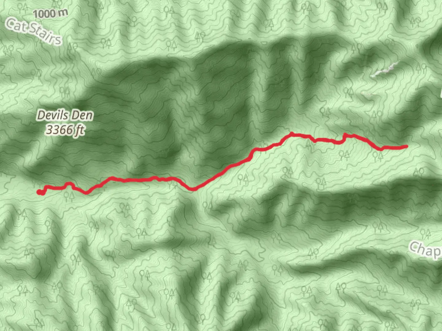 An image depicting the trail Ramsey Cascades Trail and its surrounding area.
