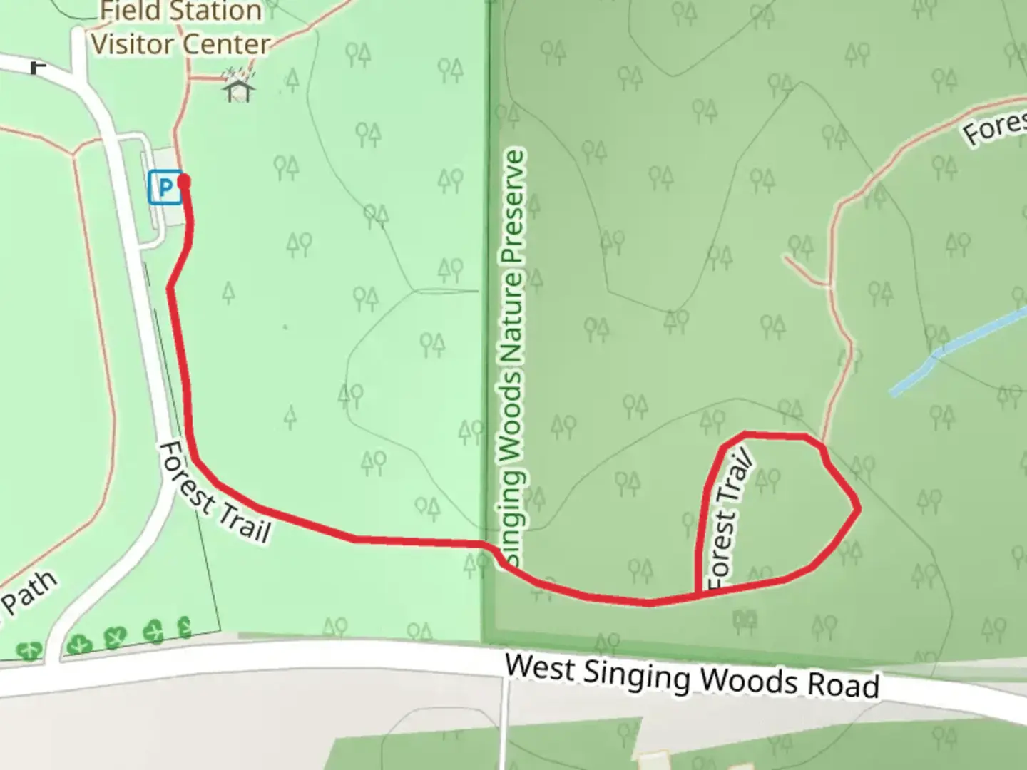 An image depicting the trail Forest Loop Trail and its surrounding area.