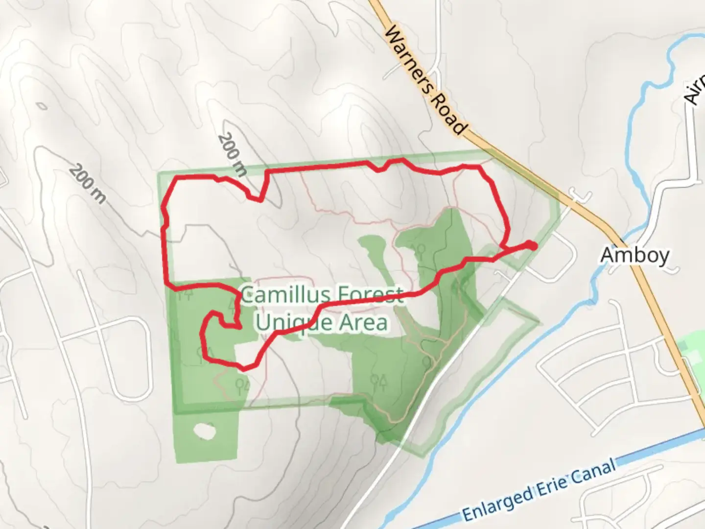 An image depicting the trail Thompson Road Loop and its surrounding area.