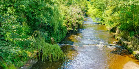 An image depicting the trail Witton Weavers Way and its surrounding area.