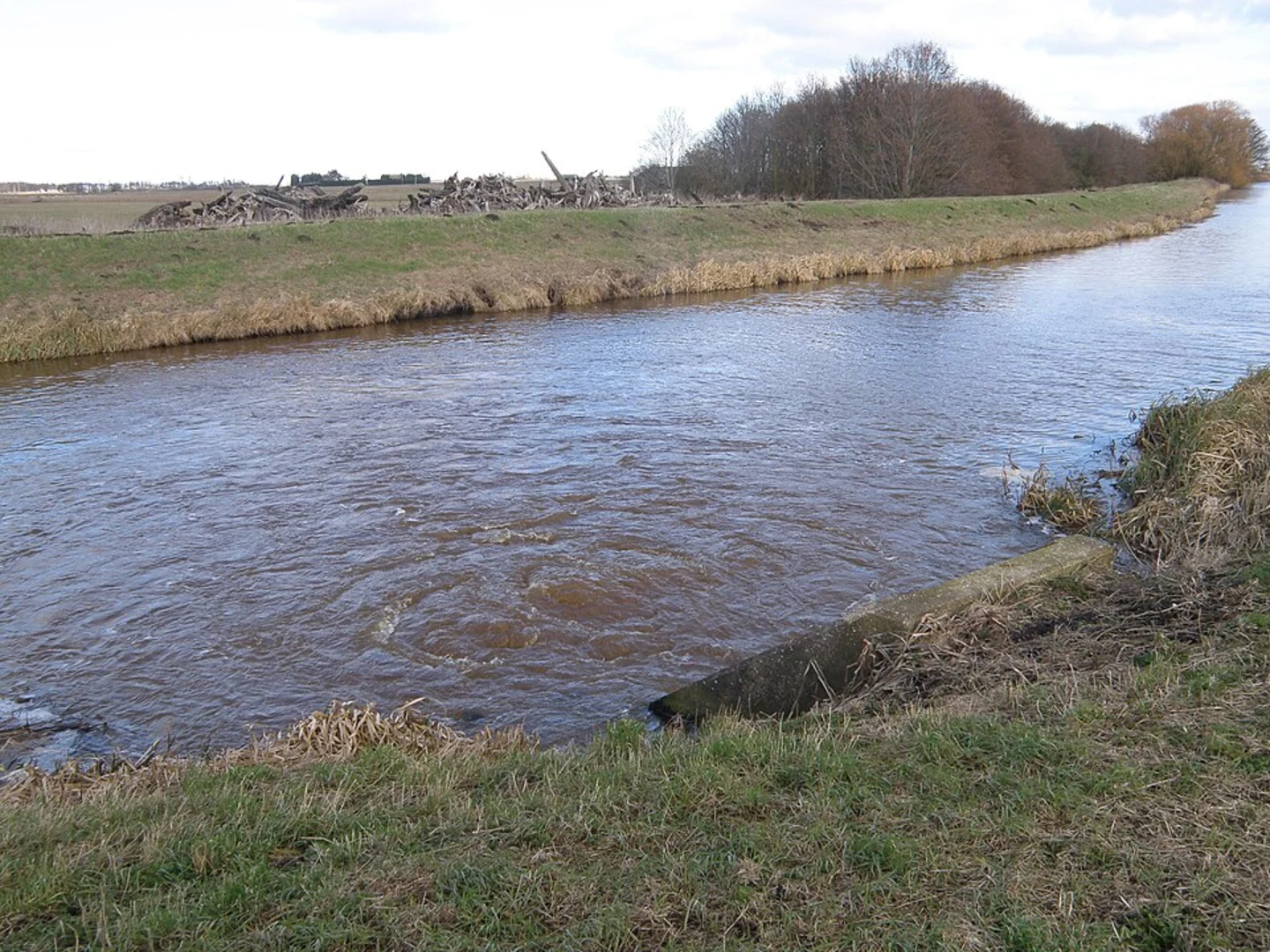 An image depicting the trail Wicken Poor's Fen Loop and its surrounding area.