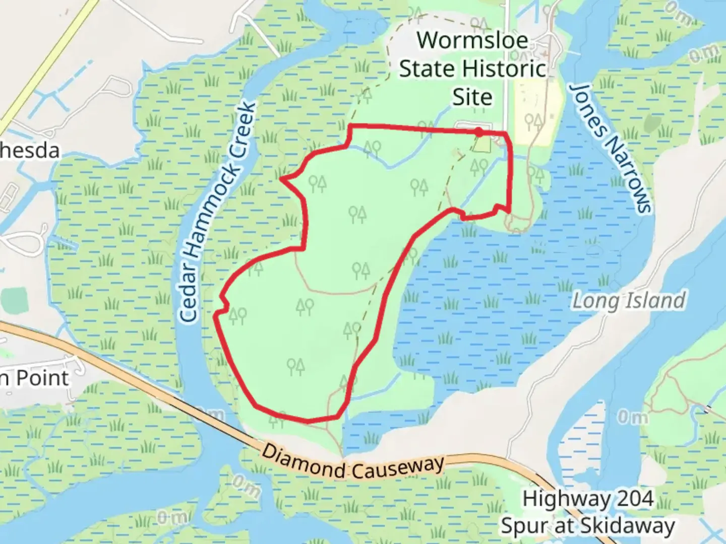 An image depicting the trail Wormsloe's Family Burial Ground Loop and its surrounding area.