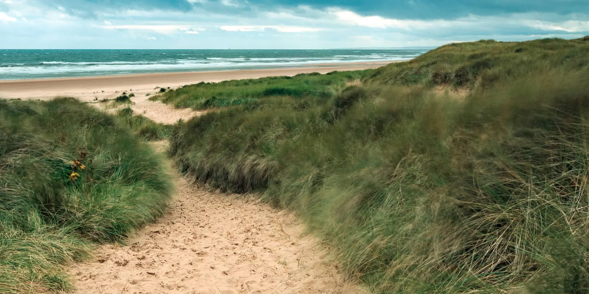 An image depicting the trail Forvie Nature Loop from Collieston and its surrounding area.