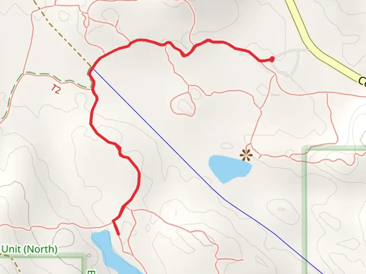 An image depicting the trail Wetmore Pond Overlook and its surrounding area.