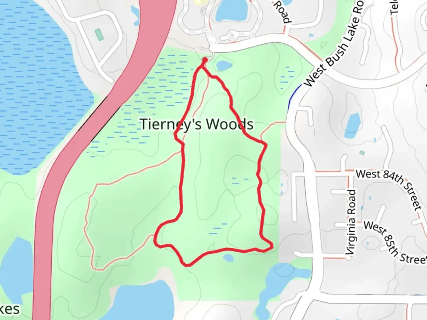 An image depicting the trail Tierneys Woods Loop and its surrounding area.