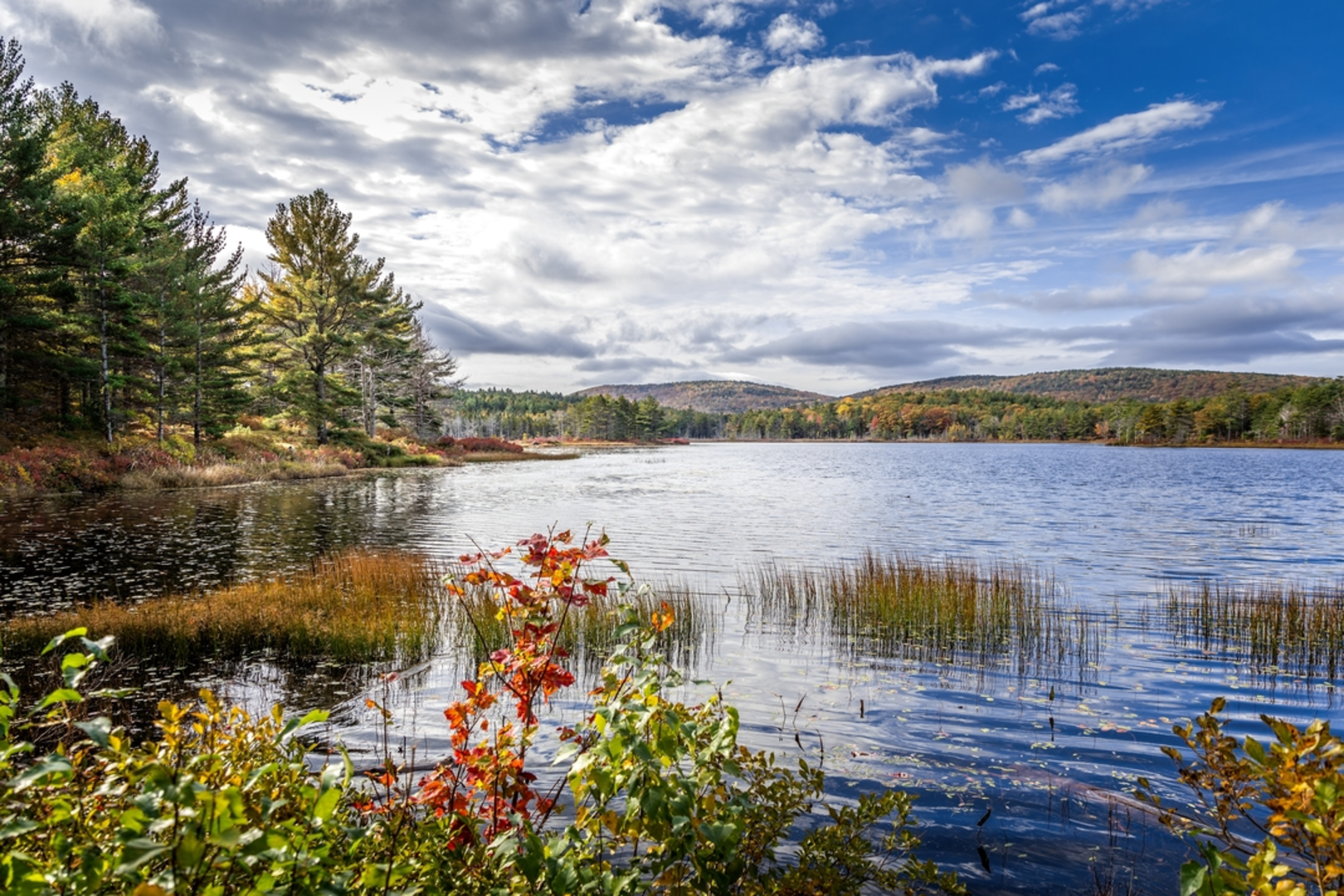 An image depicting the trail Witch Hole Pond Trail and its surrounding area.