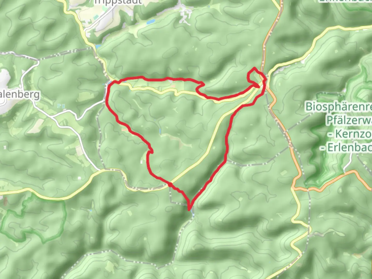 An image depicting the trail Meisertal Loop via Lauberwald and its surrounding area.