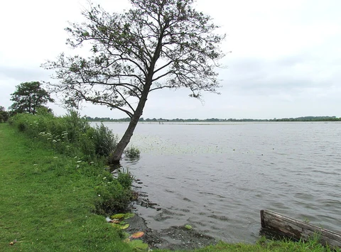 Ankeveense Piassen via Noordereinde, Stichtse Kade, Dammerkade and Googpad Loop